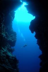 Diver swims past cave entrance, Bunaken National Park.
1... by Jean Tresfon 
